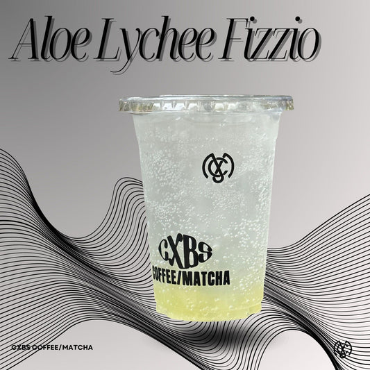 1 Fizzio Series (Non-Dairy)