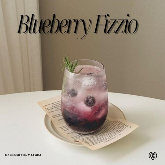 1 Fizzio Series (Non-Dairy)